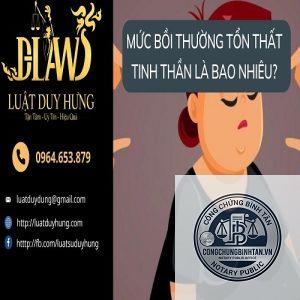 thiệt hại tinh thần l&agrave; g&igrave; - H&igrave;nh 3