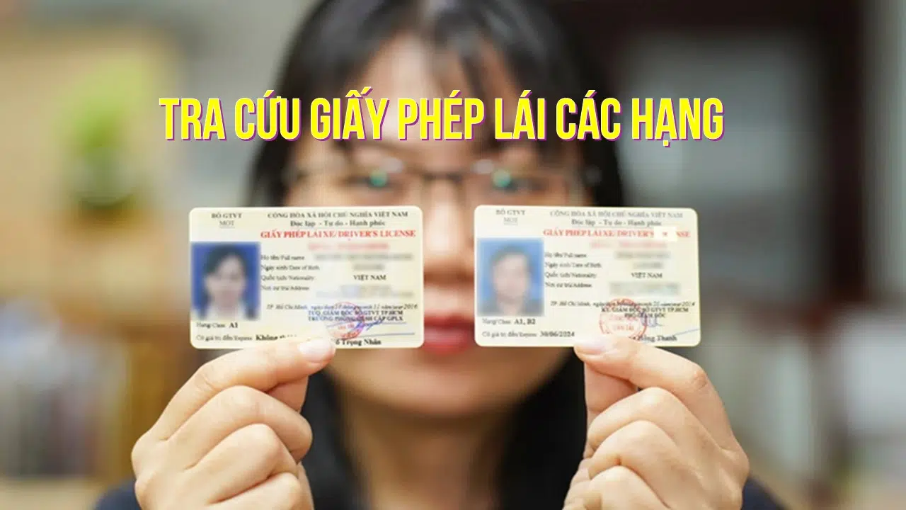 tra cứu bằng lái xe - Hình 5