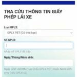tra cứu giấy ph&eacute;p l&aacute;i xe