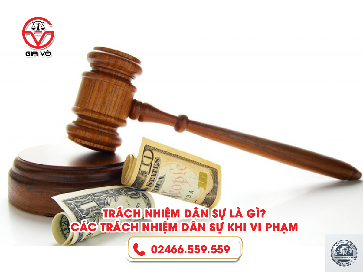 trách nhiệm dân sự là gì - Hình 4