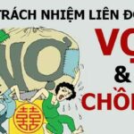 Trách nhiệm liên đới là gì? Hướng dẫn toàn diện từ khái niệm đến thực tế áp dụng trách nhiệm liên đới là gì