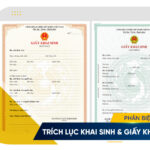 tr&iacute;ch lục giấy khai sinh
