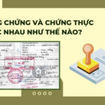 vai tr&ograve; c&aacute;n bộ chứng thực