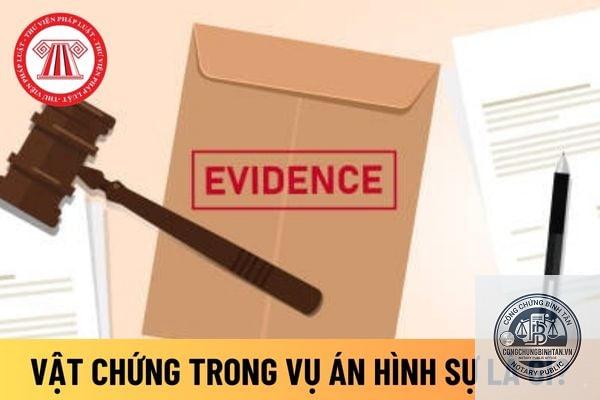 vật chứng l&agrave; g&igrave; - H&igrave;nh 1