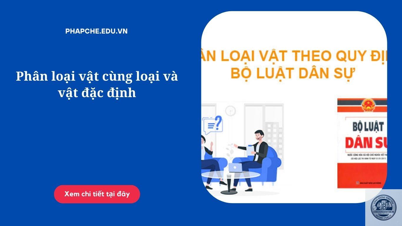vật c&ugrave;ng loại l&agrave; g&igrave; - H&igrave;nh 2
