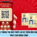 vneid c&oacute; thay bằng l&aacute;i xe kh&ocirc;ng