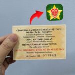 VNeID Có Thay Giấy Đăng Ký Xe Không? Sự Thật Về Tích Hợp Giấy Tờ Xe Trên Ứng Dụng Định Danh Điện Tử vneid có thay giấy đăng ký xe không