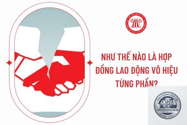 v&ocirc; hiệu từng phần l&agrave; g&igrave; - H&igrave;nh 2