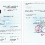 Work Permit là gì? Hướng dẫn chi tiết từ A-Z về giấy phép lao động cho người nước ngoài work permit