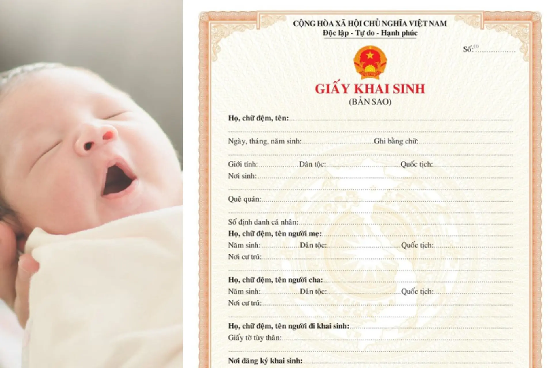 xin cấp bản sao giấy khai sinh - Hình 4