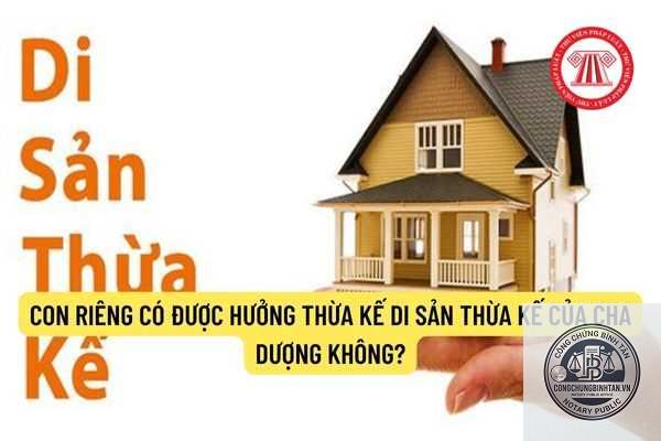 cha dượng lập di ch&uacute;c cho con ri&ecirc;ng - Image 4