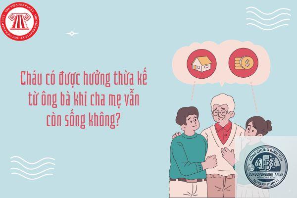 ch&aacute;u c&oacute; được hưởng theo di ch&uacute;c của &ocirc;ng b&agrave; kh&ocirc;ng - Image 2