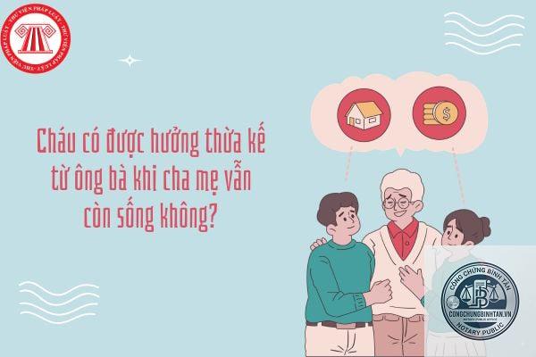 ch&aacute;u hưởng di sản khi cha chết trước &ocirc;ng - Image 5