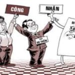 c&oacute; con nu&ocirc;i sau khi lập di ch&uacute;c