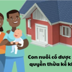 con nu&ocirc;i c&oacute; được hưởng t&agrave;i sản của cha mẹ nu&ocirc;i