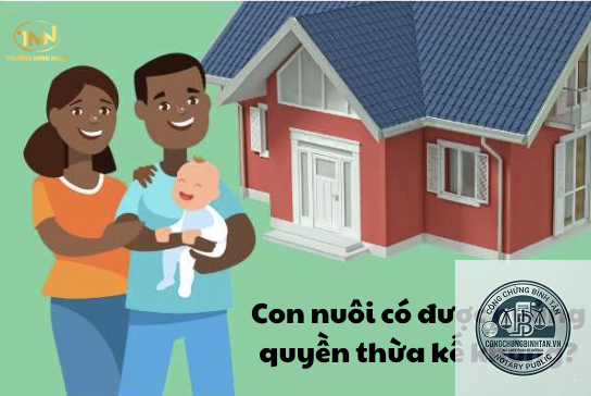 con nuôi có được hưởng tài sản của cha mẹ nuôi