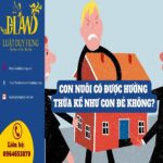 Con Nuôi và Con Đẻ Cùng Hưởng Di Chúc: Quy Định Pháp Luật và Những Điều Cần Biết con nuôi và con đẻ cùng hưởng di chúc
