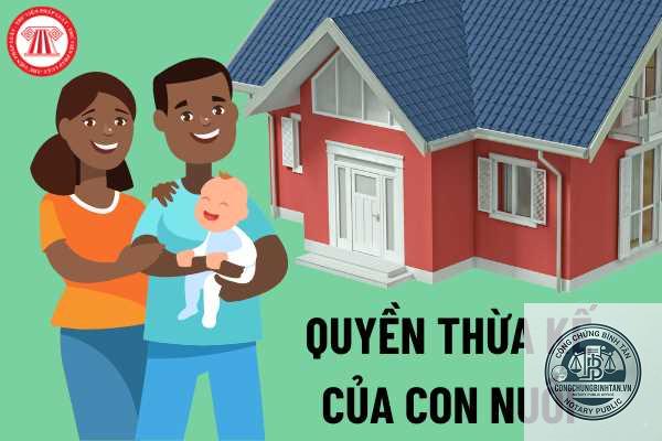 con nu&ocirc;i v&agrave; con đẻ c&ugrave;ng hưởng di ch&uacute;c - Image 5