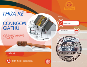 con riêng có được hưởng sổ đỏ theo di chúc