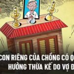 con ri&ecirc;ng của chồng c&oacute; được hưởng di ch&uacute;c