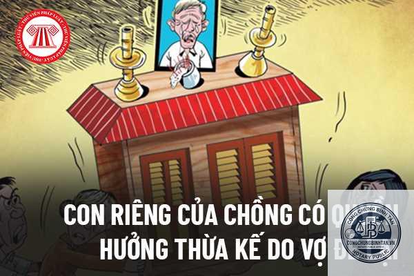 di ch&uacute;c chia t&agrave;i sản cho con đẻ v&agrave; con ri&ecirc;ng - Image 4