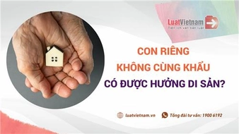 di ch&uacute;c cho con kh&ocirc;ng c&ugrave;ng hộ khẩu - Image 5
