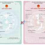 Giấy Tờ Chứng Minh Quan Hệ Cha Con Khi Lập Di Chúc: Hướng Dẫn Chi Tiết và Đầy Đủ Nhất giấy tờ chứng minh quan hệ cha con khi lập di chúc