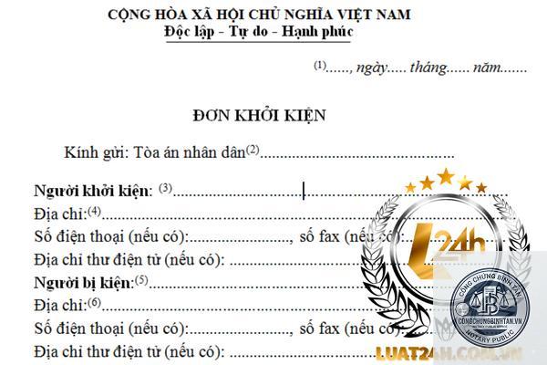 khởi kiện y&ecirc;u cầu tuy&ecirc;n bố di ch&uacute;c v&ocirc; hiệu - Image 4