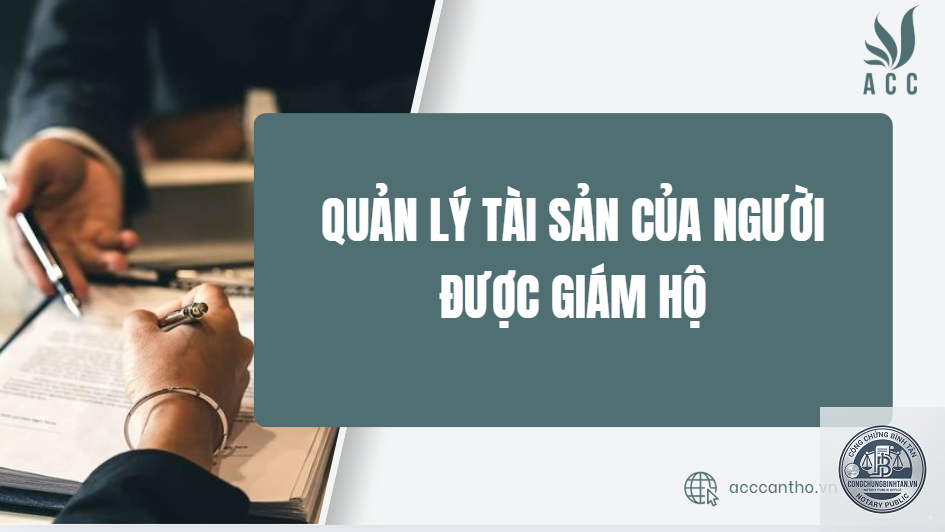 người gi&aacute;m hộ quản l&yacute; t&agrave;i sản thừa kế của trẻ - Image 5