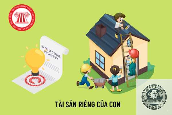 người quản l&yacute; t&agrave;i sản của con chưa th&agrave;nh ni&ecirc;n - Image 2