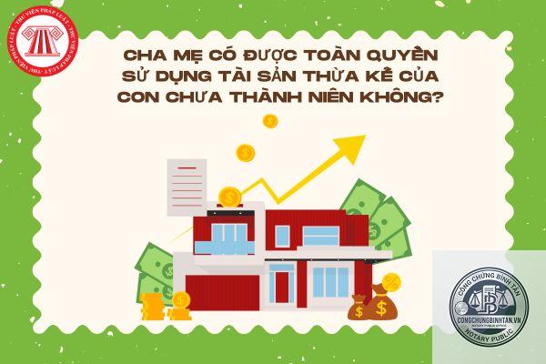 quản lý tài sản thừa kế của trẻ em - Image 4