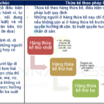 Thuế Thừa Kế Theo Di Chúc: Toàn Tập Quy Định Mới Nhất và Cách Tính Chi Tiết thuế thừa kế theo di chúc
