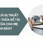 Truất Quyền Thừa Kế Của Cha Mẹ: Điều Kiện, Thủ Tục Và Những Điều Cần Biết truất quyền thừa kế của cha mẹ