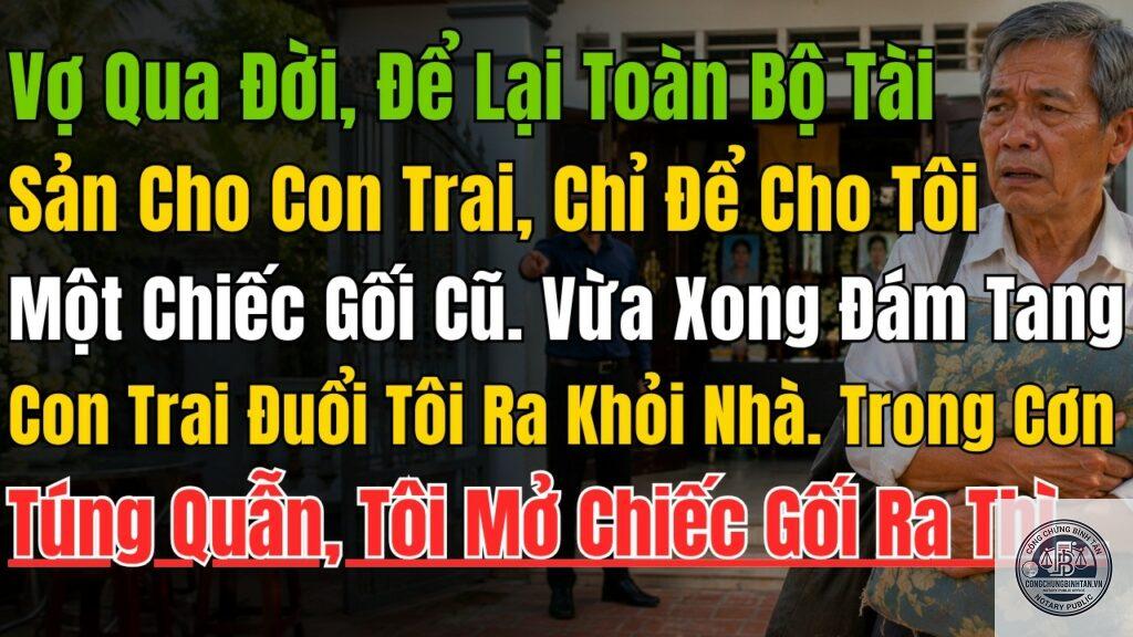 vợ để lại toàn bộ tài sản cho con