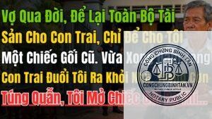 vợ để lại toàn bộ tài sản cho con